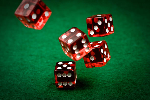 wiltoto mobile app showing Ekor Number bet placement and draw history